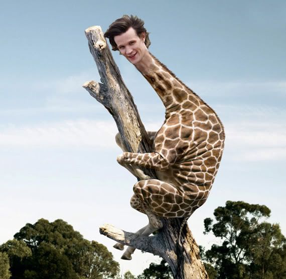 giraffe_mattjpg.jpg