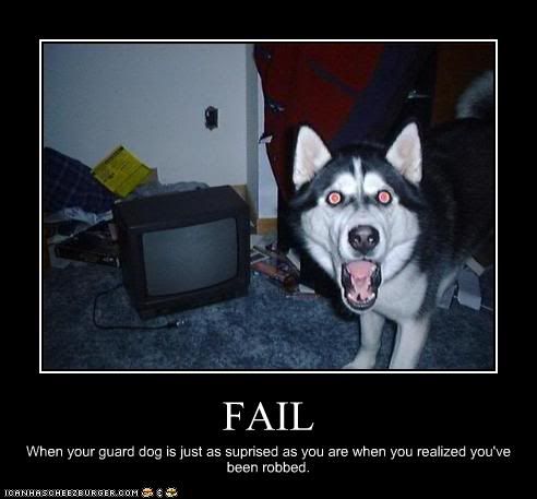 Fail Guard Dog Pictures, Images and Photos