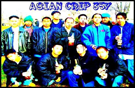 Asian Crip 95