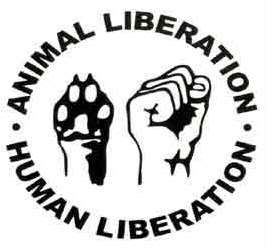 animal rights