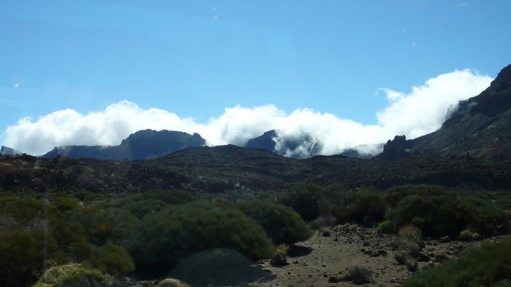 Foto_0537.jpg
