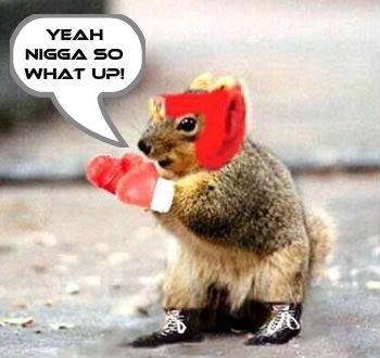 Boxing Squirrel