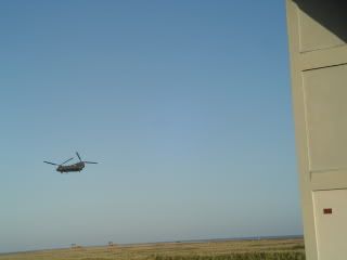 a chinook