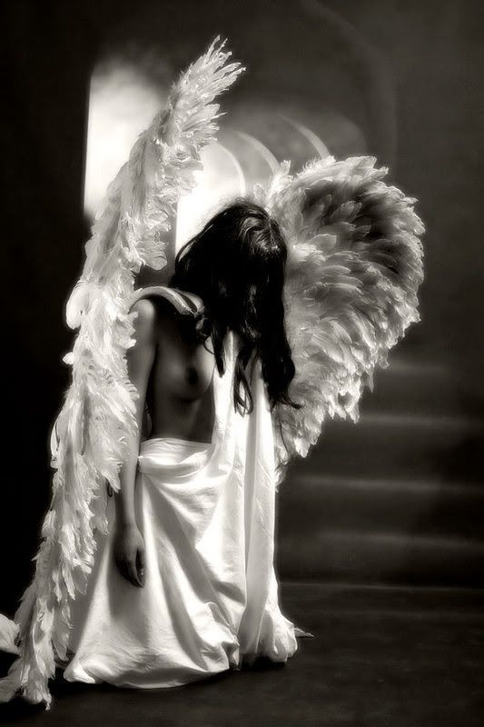 fallen angel Pictures, Images and Photos