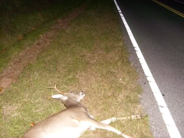 http://i287.photobucket.com/albums/ll126/boardjnky4/deer/deer2.jpg