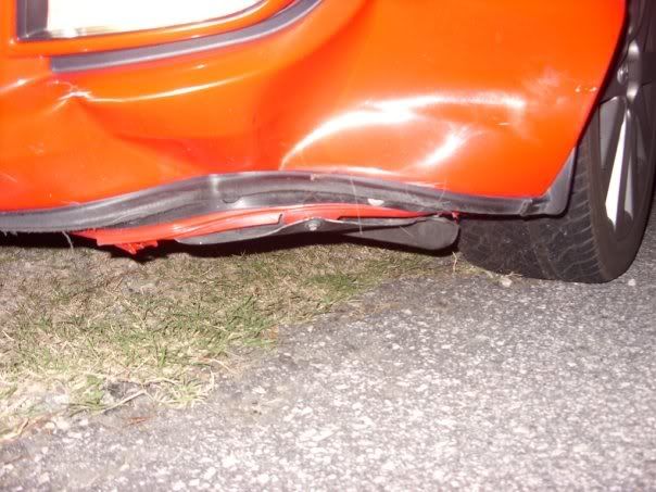 http://i287.photobucket.com/albums/ll126/boardjnky4/deer/deer4.jpg