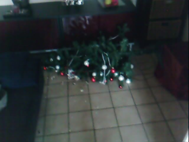 Geplaatste afbeelding