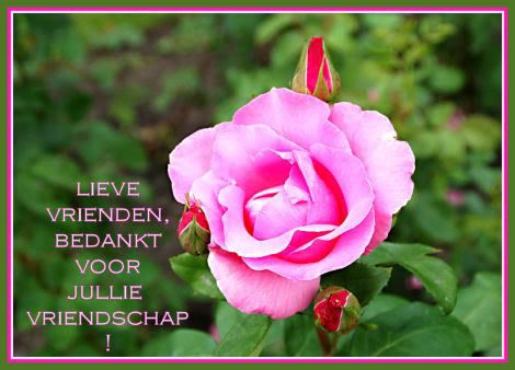 Lieve vrienden Pictures, Images and Photos