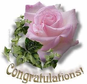 congratulations_flowers.jpg image by GailJ