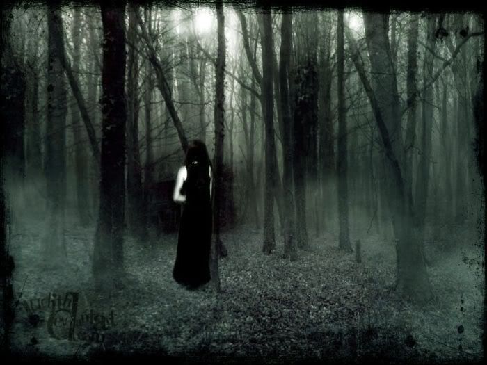 Forestgirlbackground.jpg Wandering Girl image by Tearsofblood33