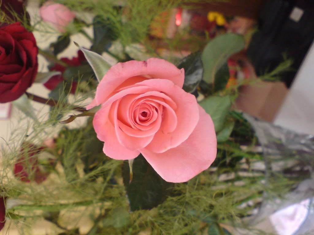 topic về những hình ảnh chụp bằng điện thoại di động - 1