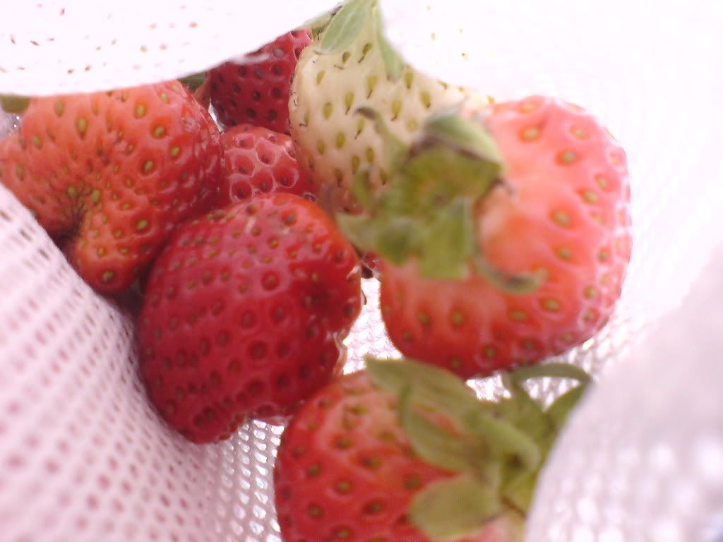 topic về những hình ảnh chụp bằng điện thoại di động - 10