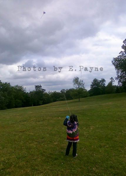 Go Fly A Kite by E_Payne_2011