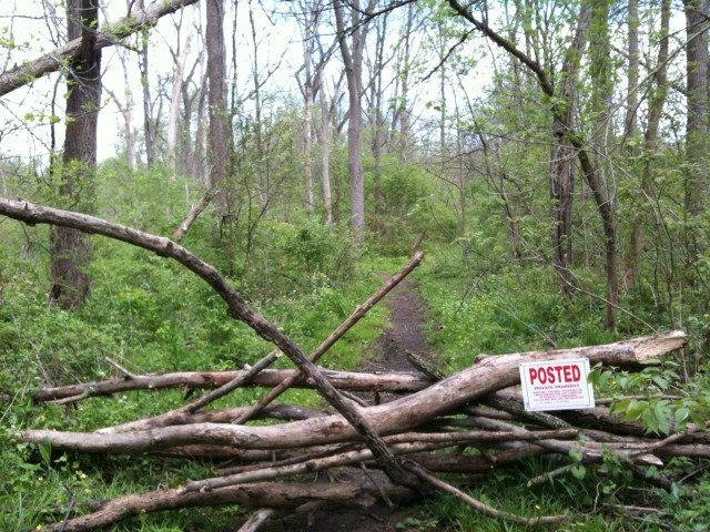 POSTEDatlogfence-1.jpg