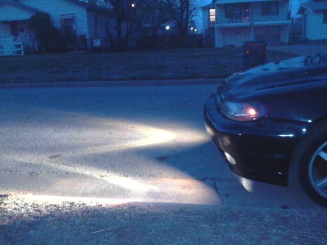 2011-03-12185319.jpg