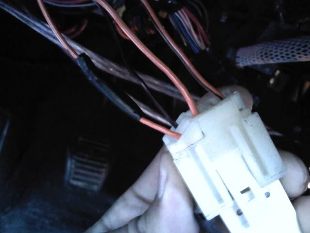 IMG00252-20091015-1741.jpg