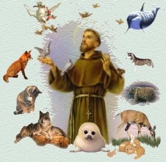 St. Francis of Assissi Pictures, Images and Photos