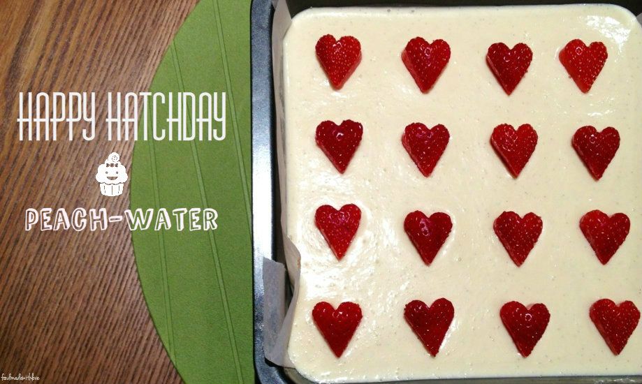 Jelly Hearts Food Made With Love