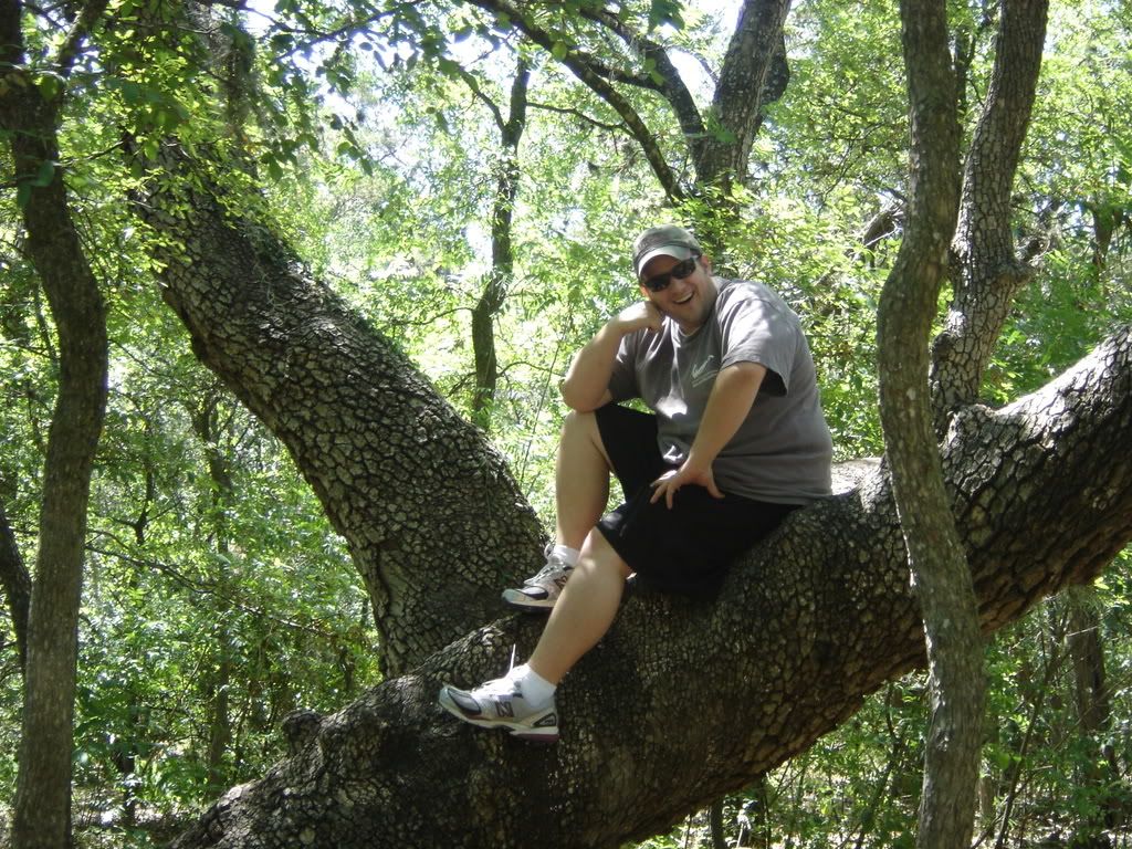 Joe in Tree