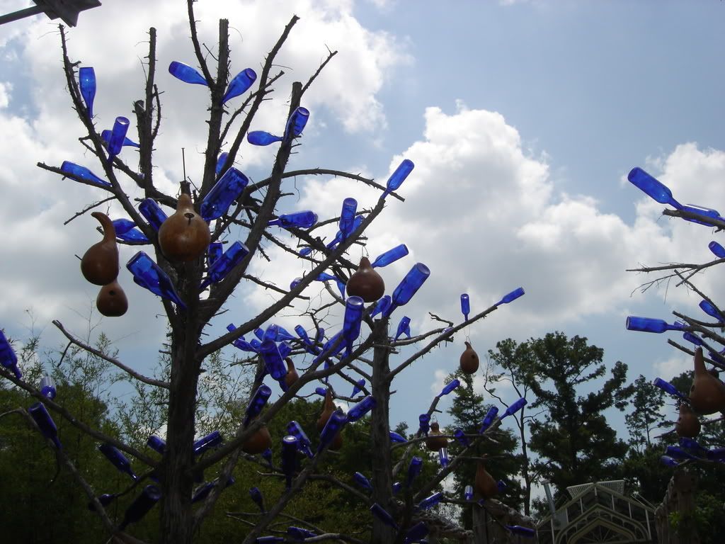 bottle trees