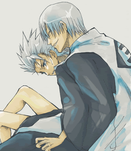 ginxhitsugaya4at8.gif