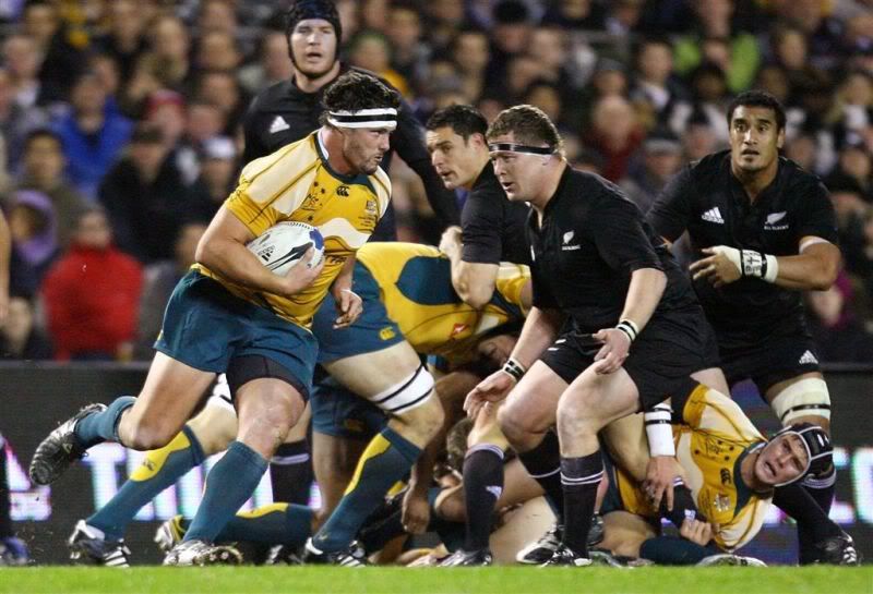 rugby wallpapers. rugby wallpapers. rugby