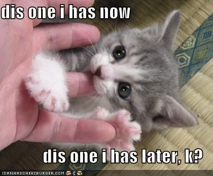 funny-pictures-kitten-eats-finger-l.jpg