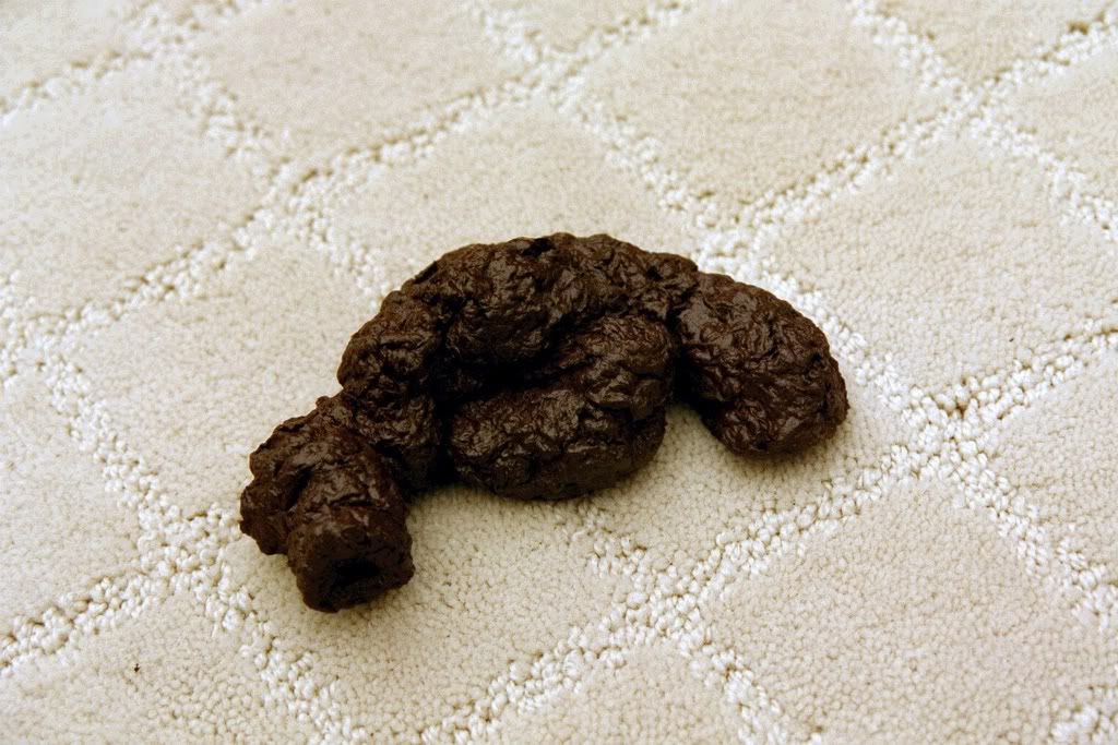 DogPoop102.jpg