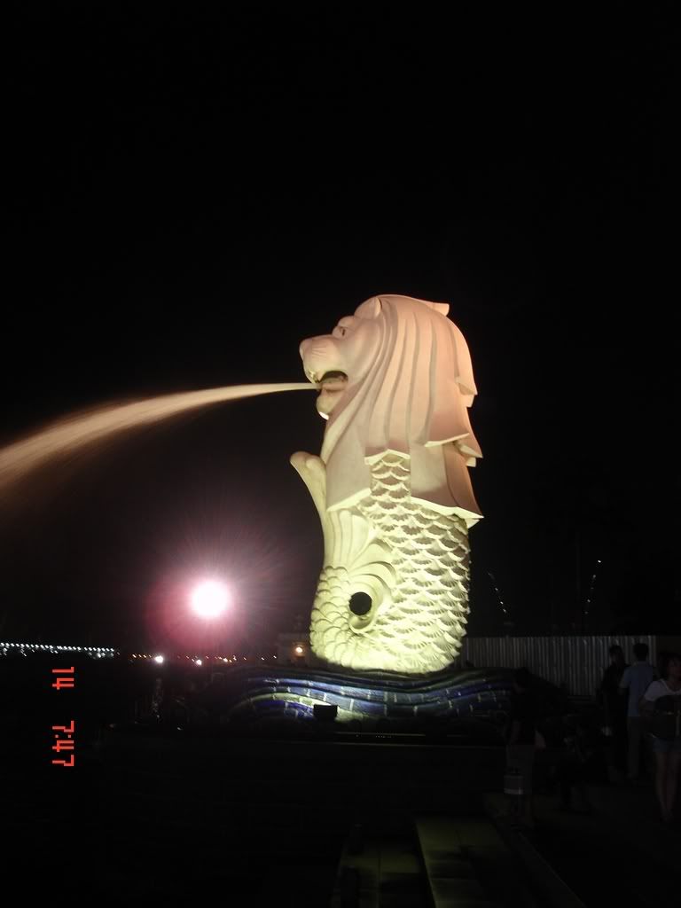 DSC00992.jpg Merlion at night image by huynhphong_photos