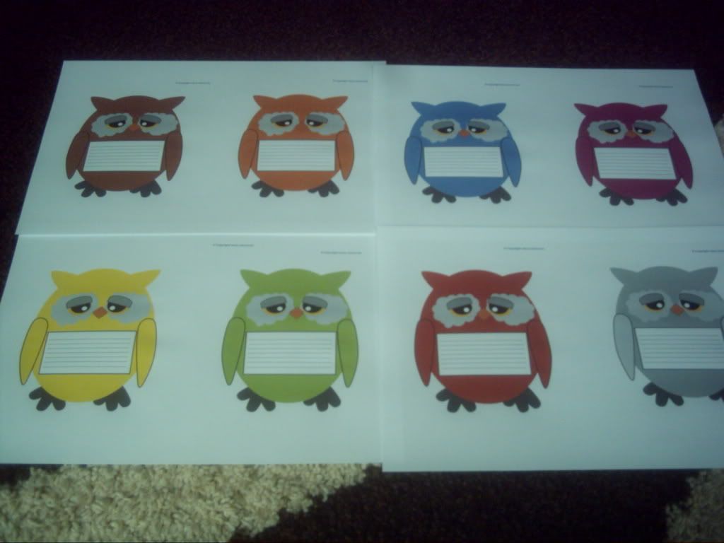 owl babies resources