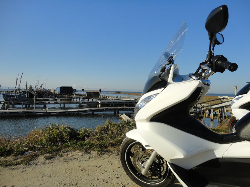 Honda PCX
