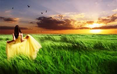 20769618_images1505283_2.jpg picture by thienthannho_2008