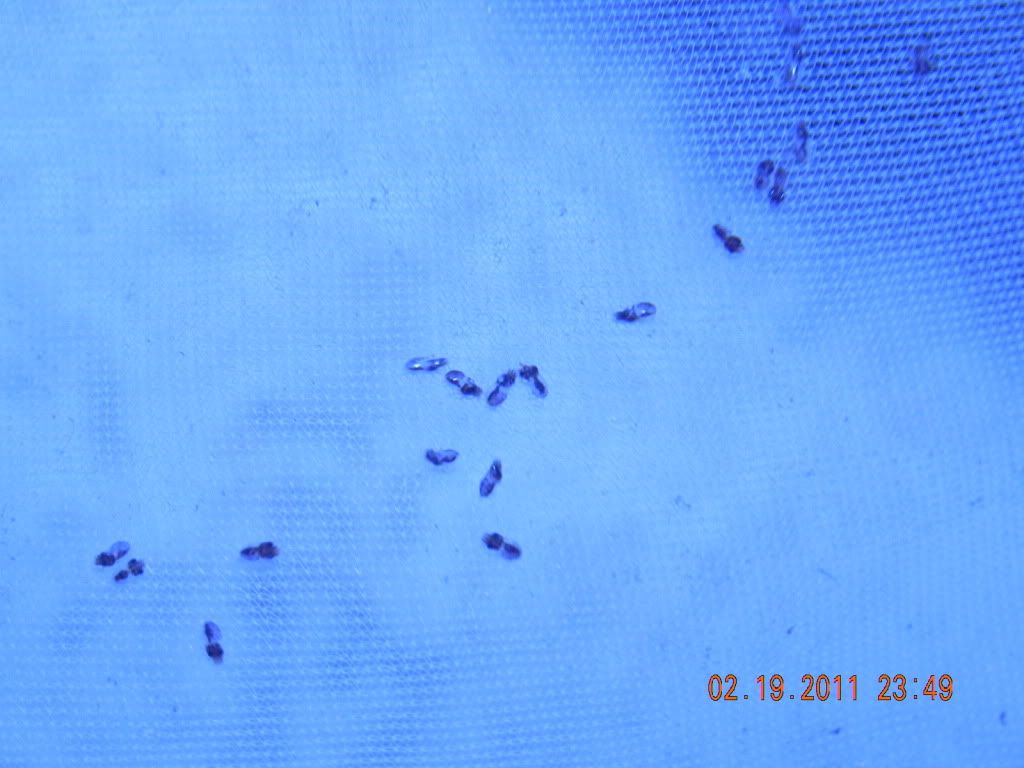 DSCN2075.jpg