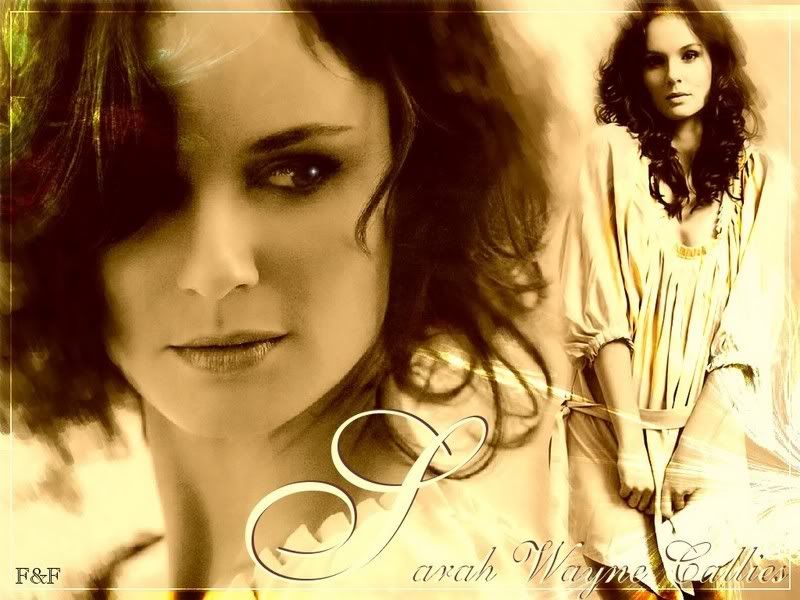 98328480vk6mk8yi0go21.jpg Sarah Wayne Callies image by kjcochner