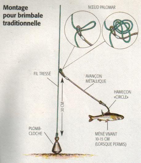 Comment correctement faire tvister pour la pêche