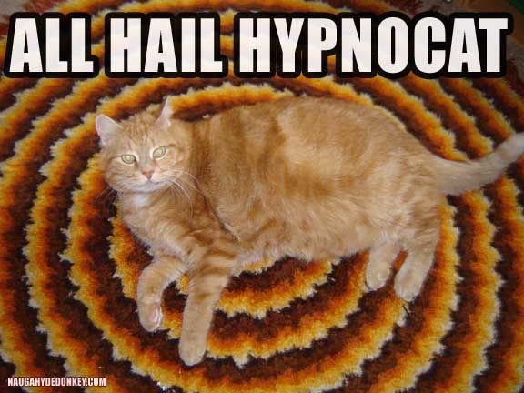 hypnocat.jpg