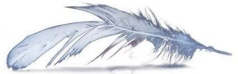 Feather