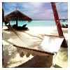 hammock.jpg Summer hammock image by mail2michelle