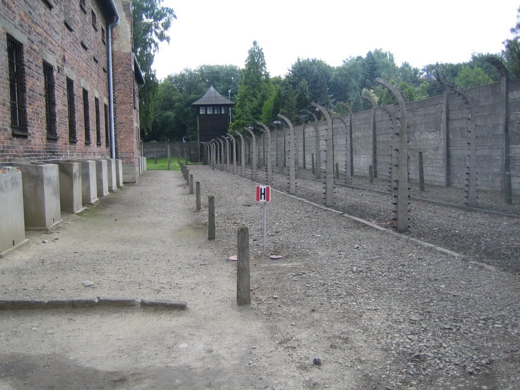 Auschwitz Pictures, Images and Photos