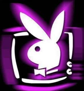 Colorful Playboy Bunny