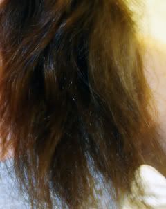 My Hair Is Damaged But I Want To Grow It Long Soompi Hangout