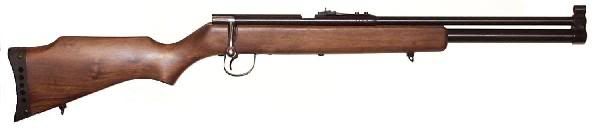 Rifles de aire Rifles de aire
