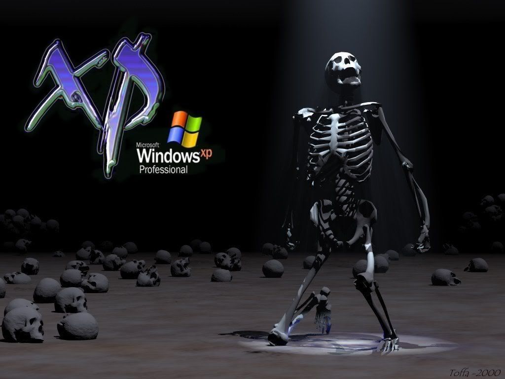 xppro_skull3d.jpg