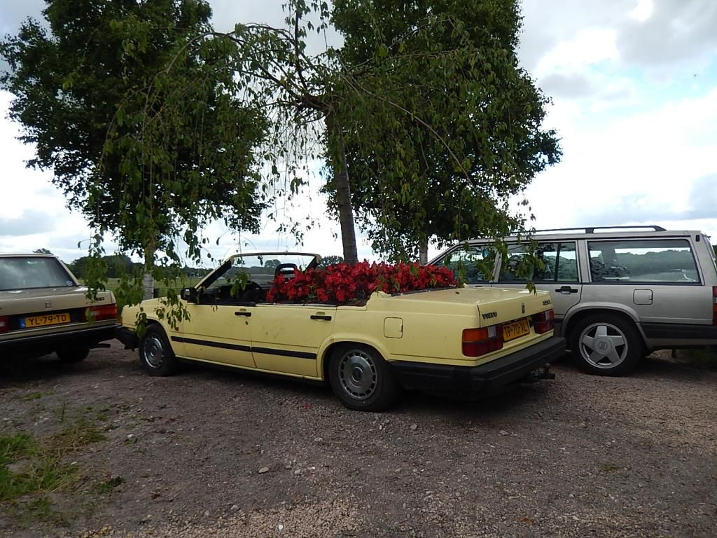 [Afbeelding: DSCN0839.jpg]