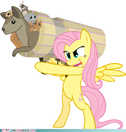 http://i287.photobucket.com/albums/ll147/Foede2/my-little-pony-friendship-is-magic-brony-nopony-can-stop-me.png