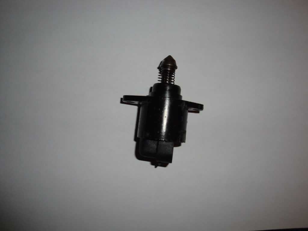 DSC00142.jpg