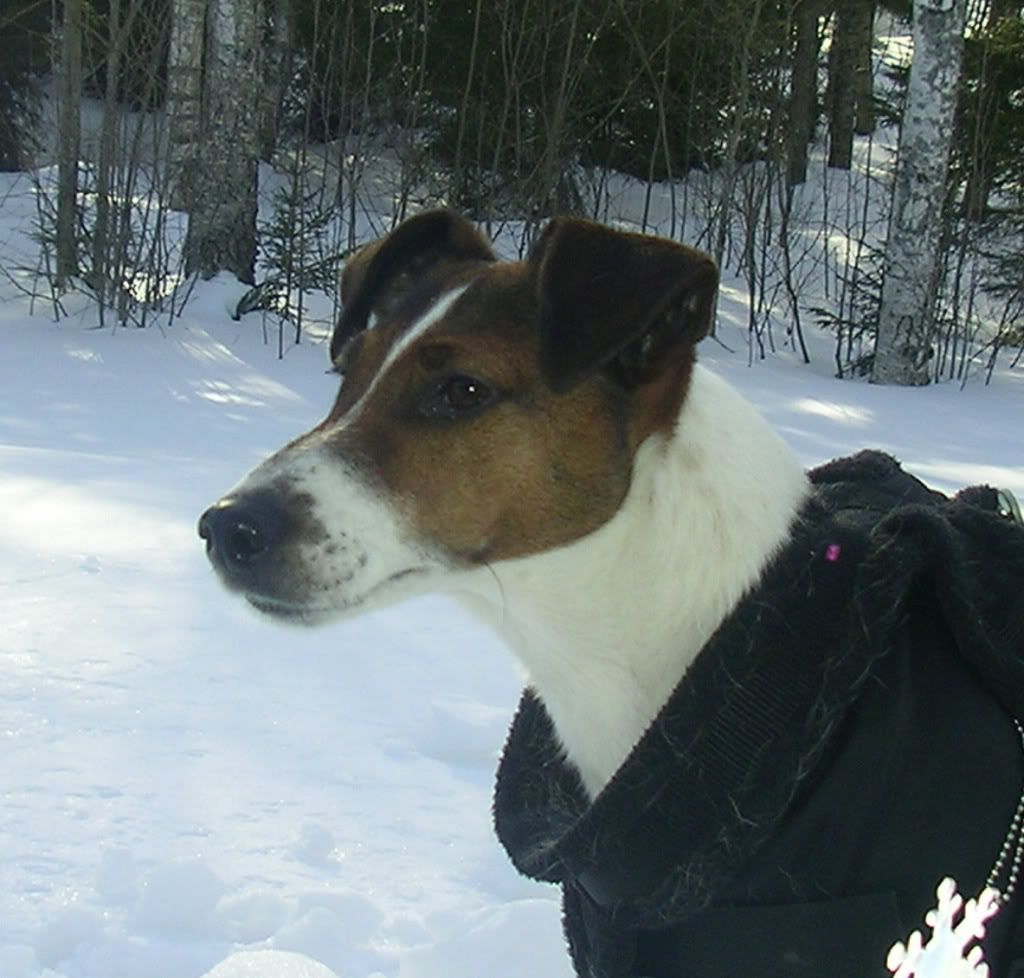 SANY0027_edited-1.jpg