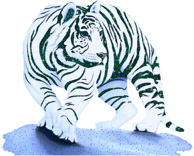 Snow Tiger