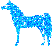 glittery horse Pictures, Images and Photos