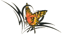 MySpace and Orkut Butterfly Glitter Graphic - 3